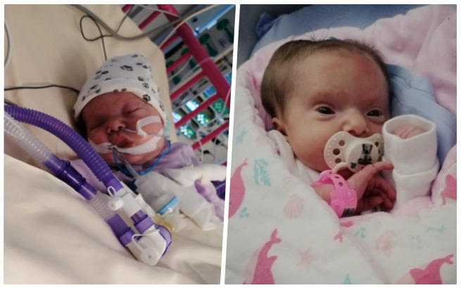 Antonina Wiśniewska