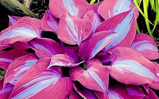 Kiermasz w Niemczech  2B