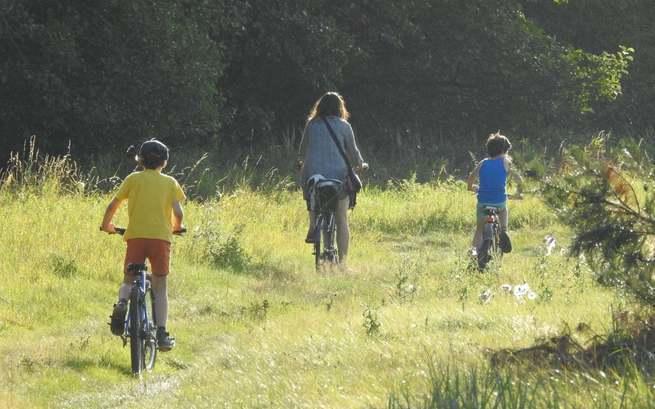 Fundacja "DOM WYTCHNIENIA"