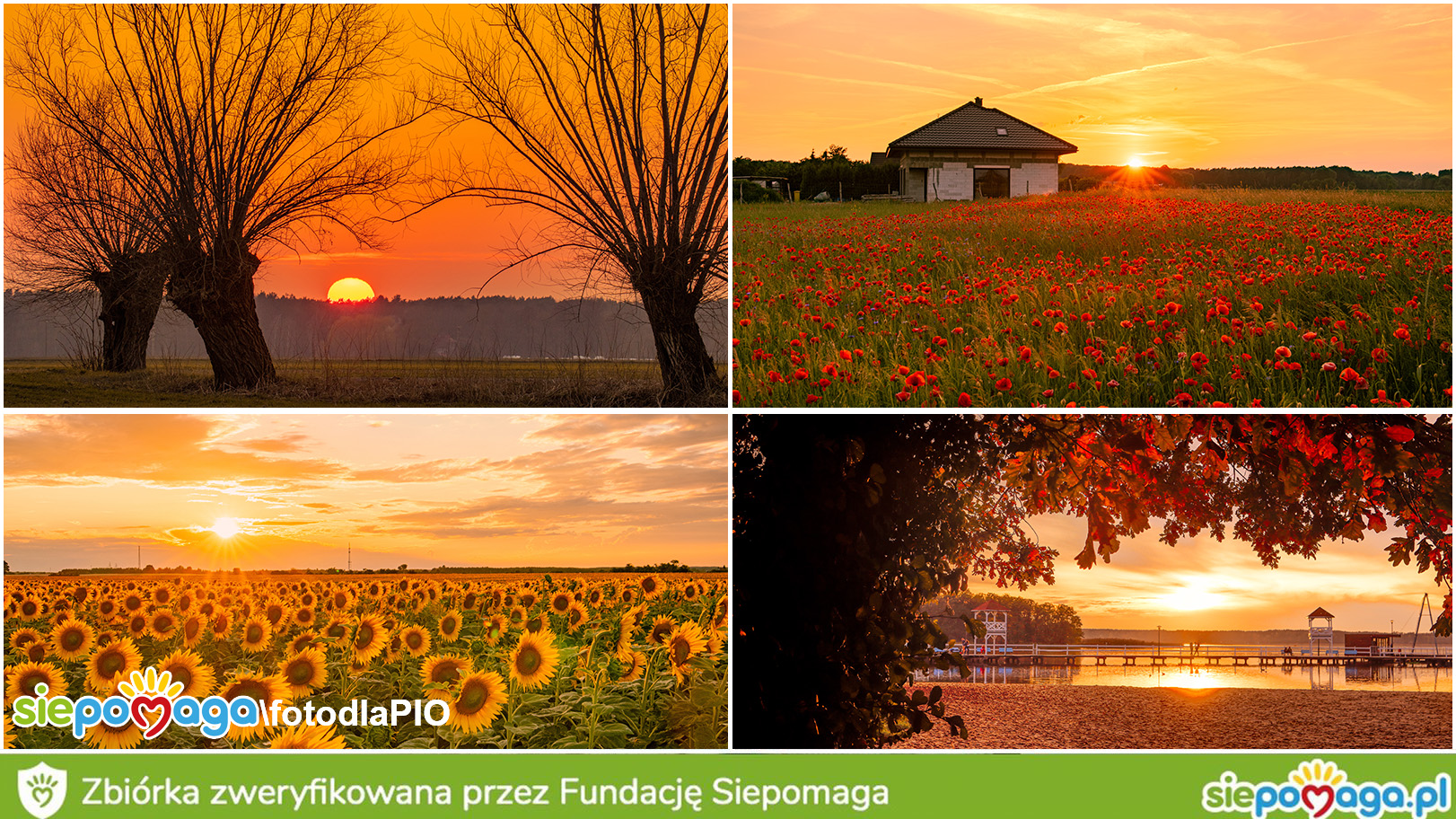 Przemysław Małecki