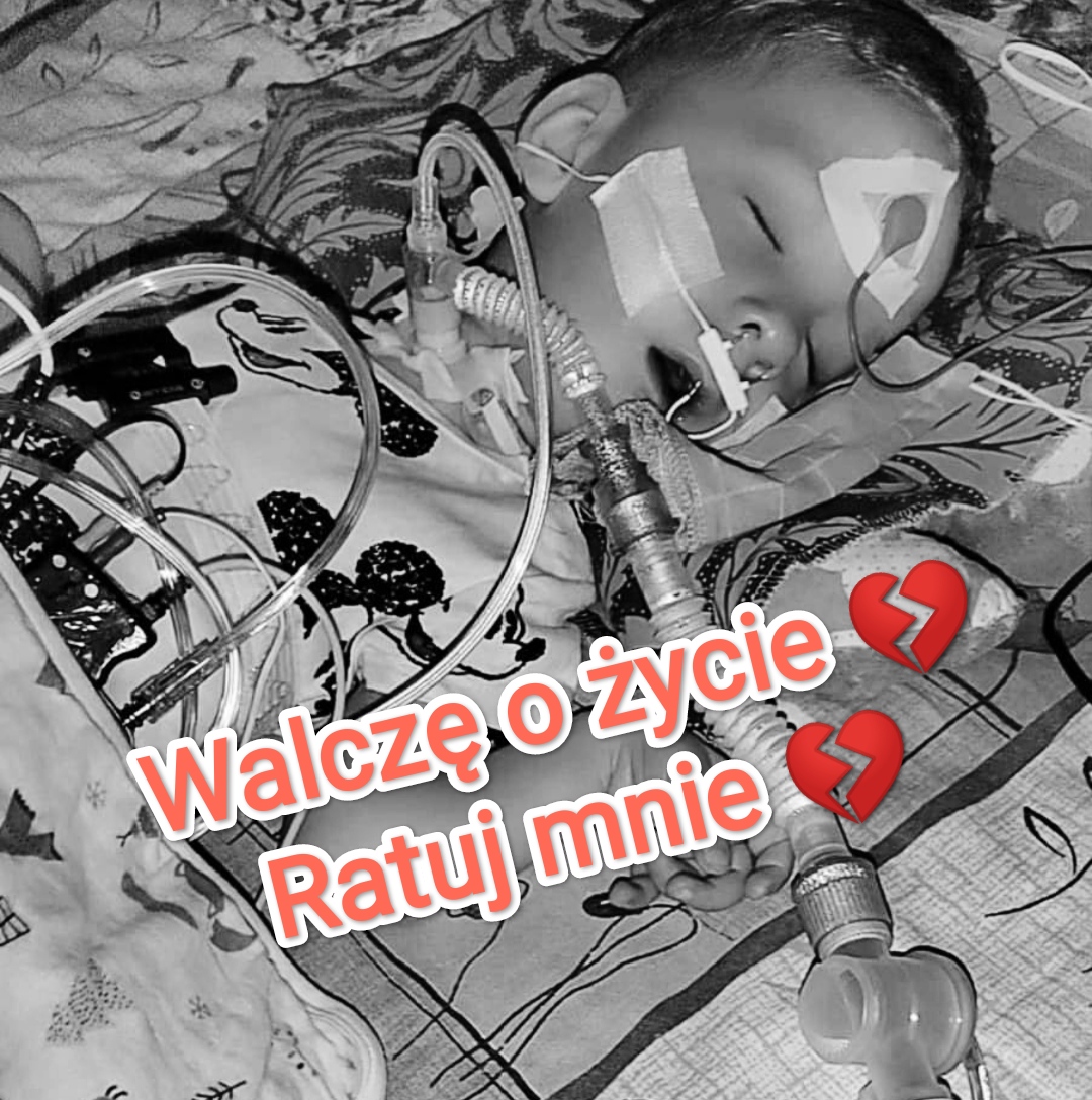 Małgorzata Wołoszyn