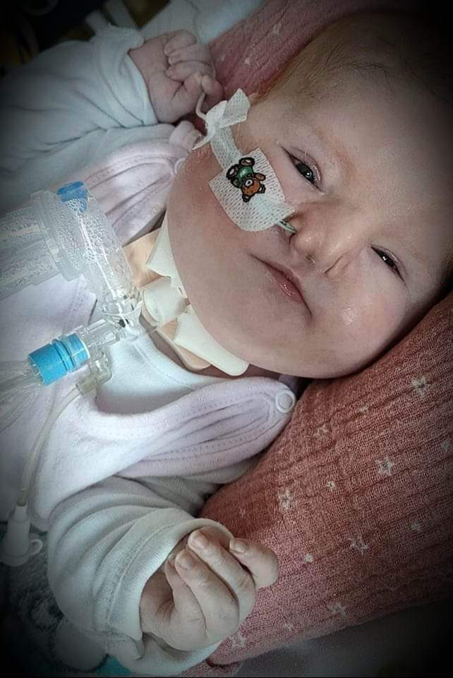 Magdalena Dawidowska