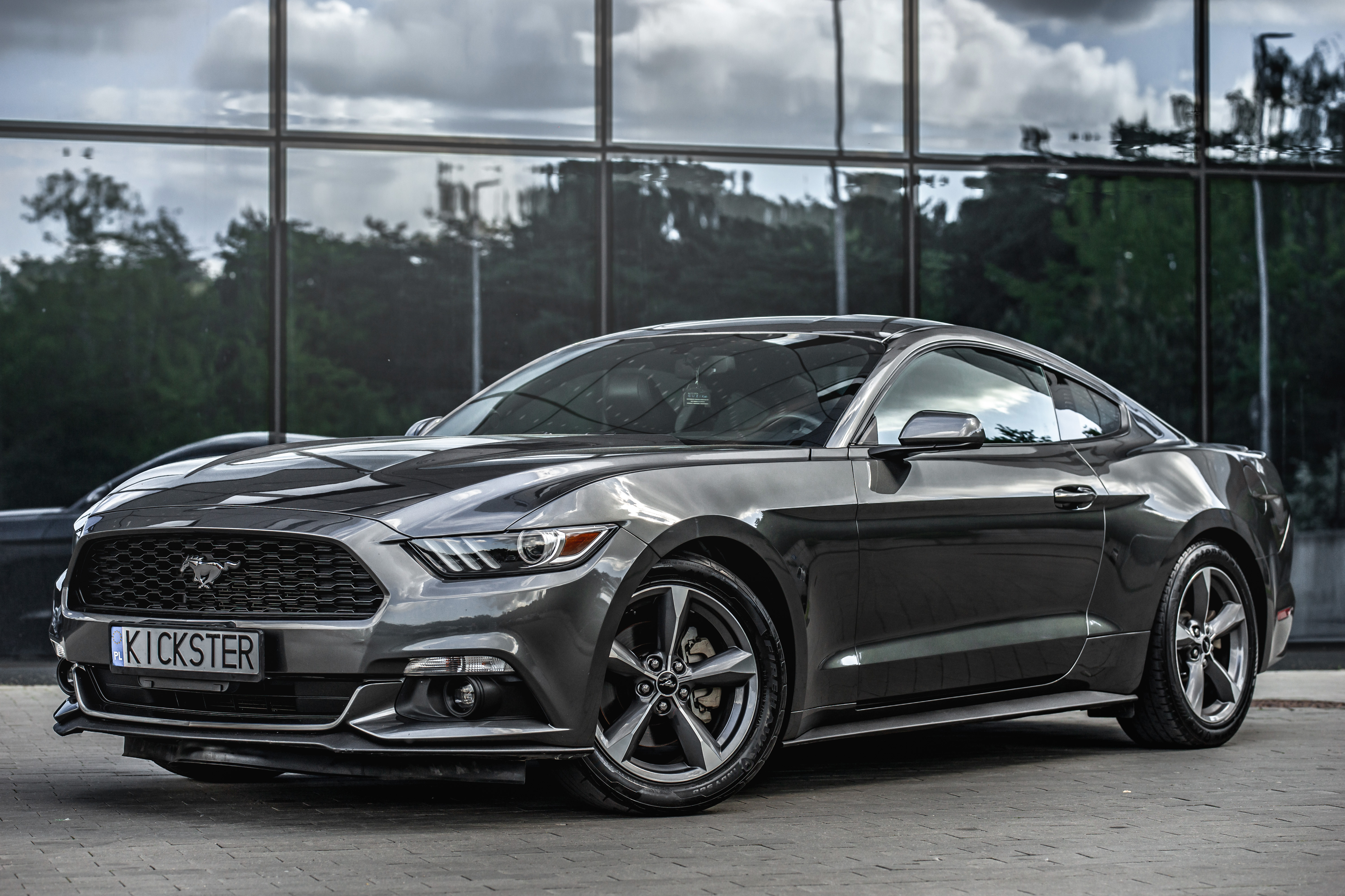 Kickster TV Sebastian Kraszewski