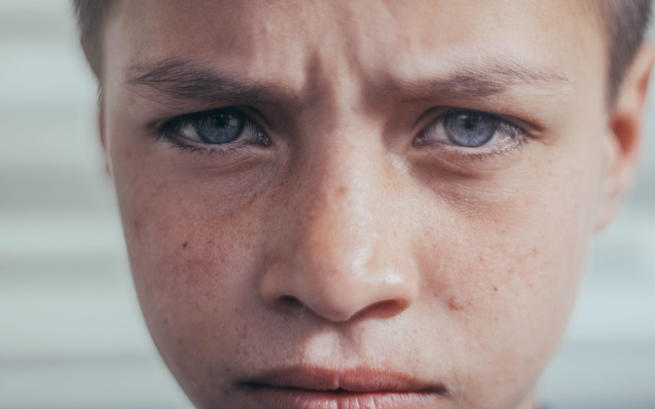 Fundacja SŁONIE NA BALKONIE