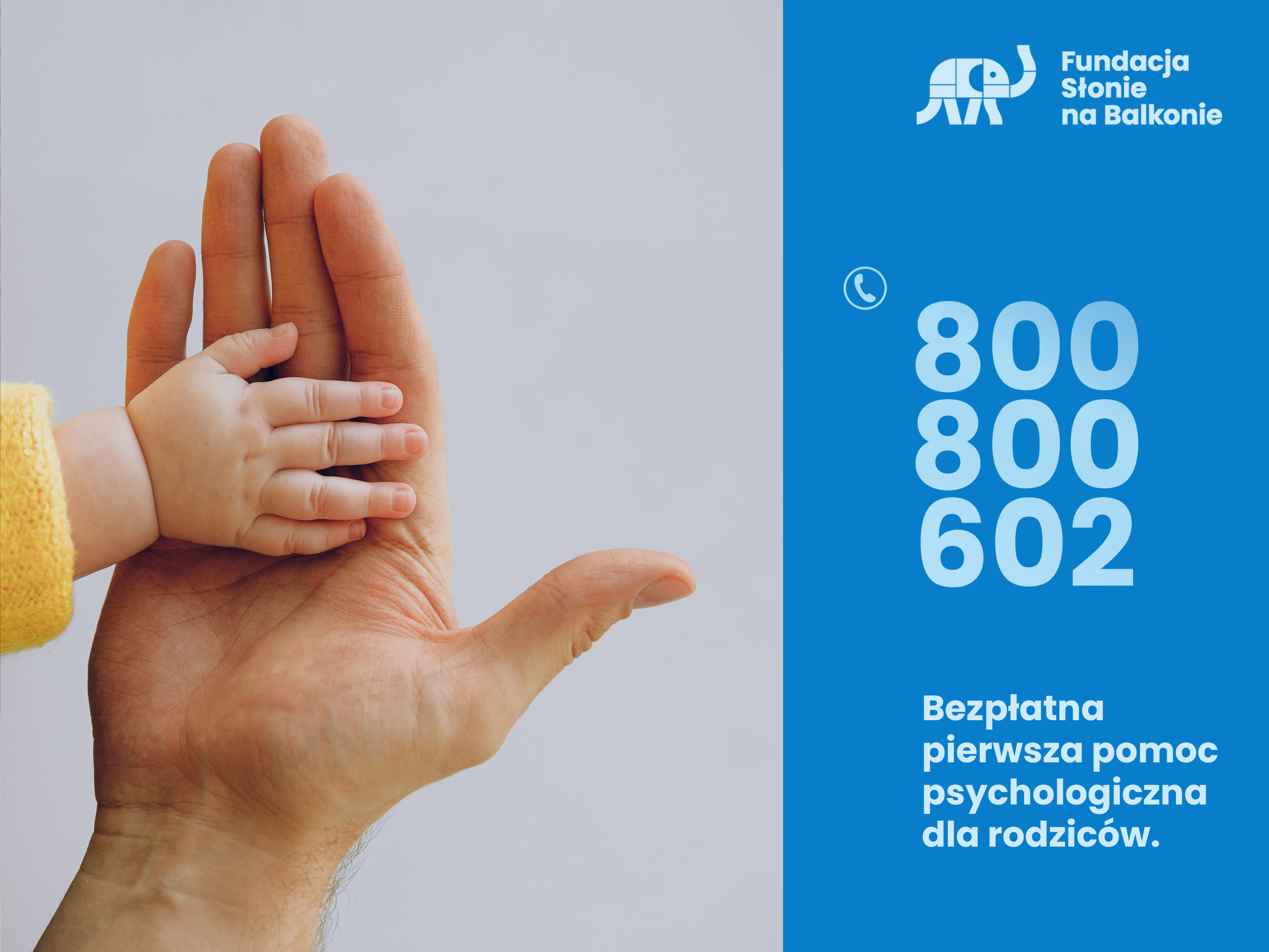 Fundacja SŁONIE NA BALKONIE