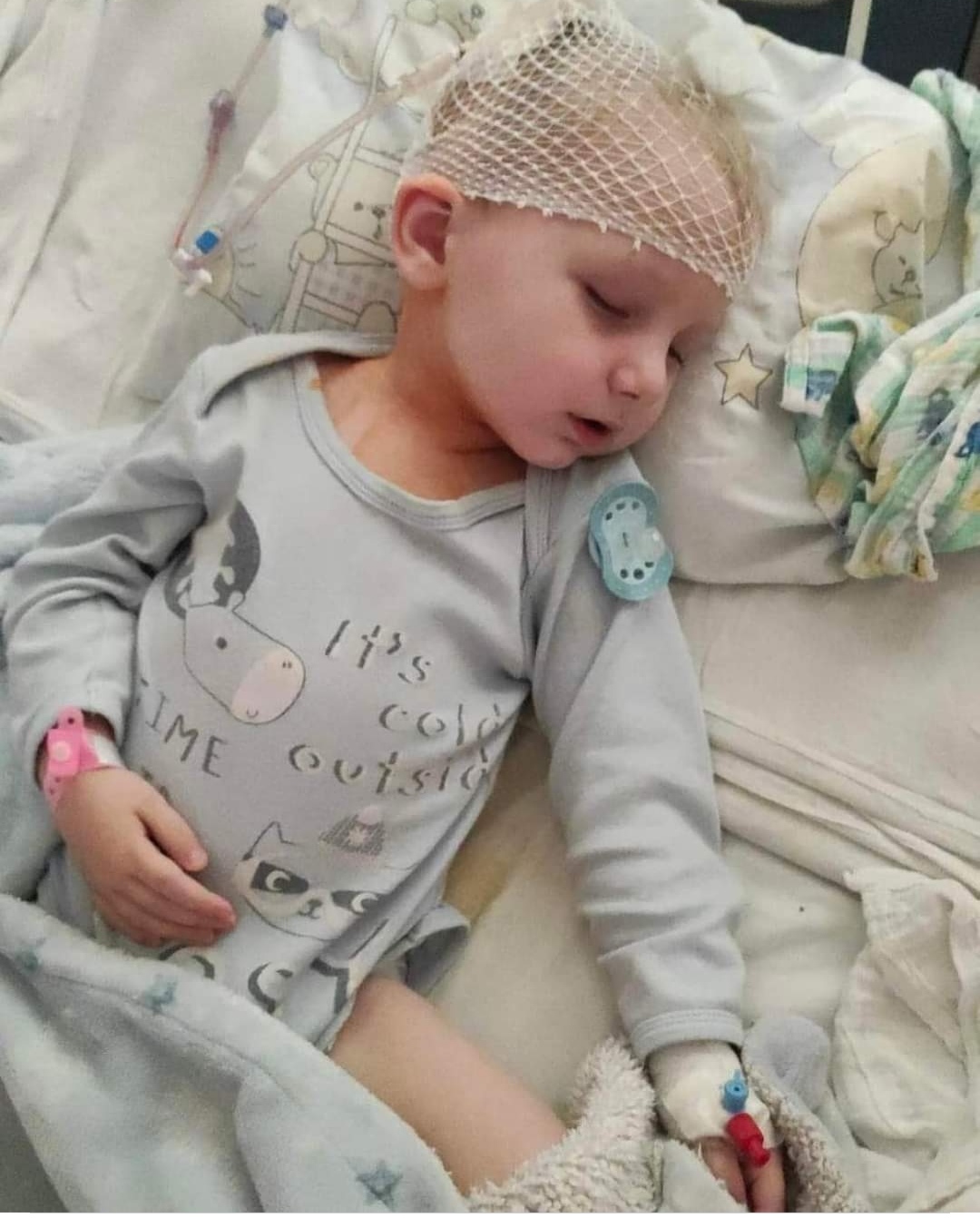 Małgorzata Wołoszyn