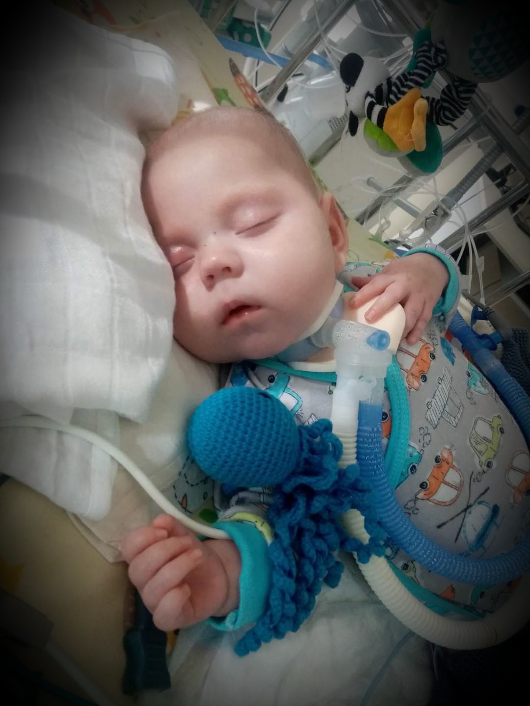 Magdalena Dawidowska