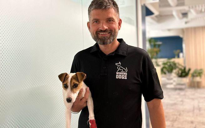 Fundacja Working Dogs