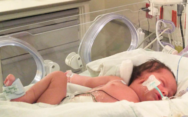 Zillah Michel Shulman