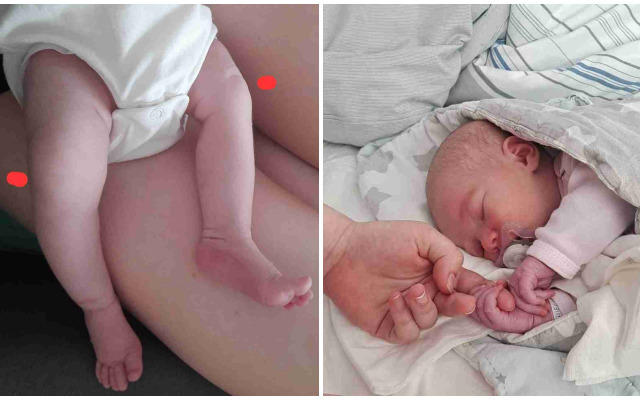 Agnes Zwiech-Domagała