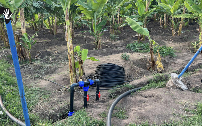 STOWARZYSZENIE TO HELP AFRICA