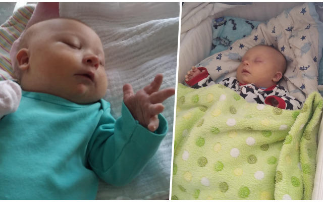 Franciszek Wąsowski