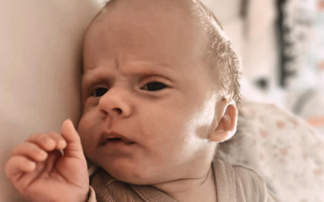 Ernest Przestrzelski -Mikulski