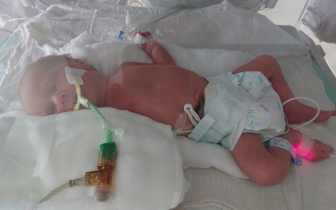 Franciszek Maćkiewicz