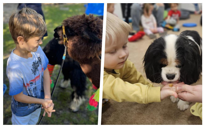 Fundacja Supersprawni