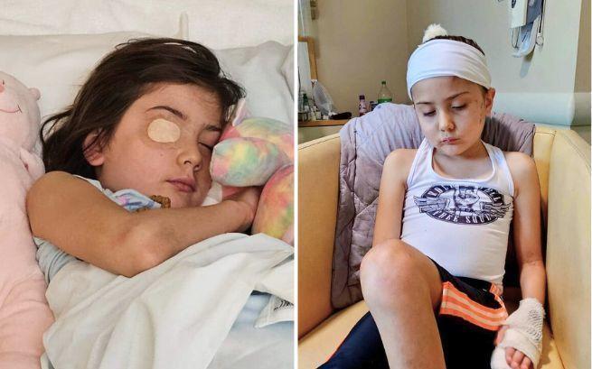 Isabella Abril Cesari Licalzi