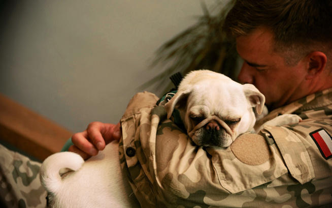 Fortior Fundacja Dla Wielu