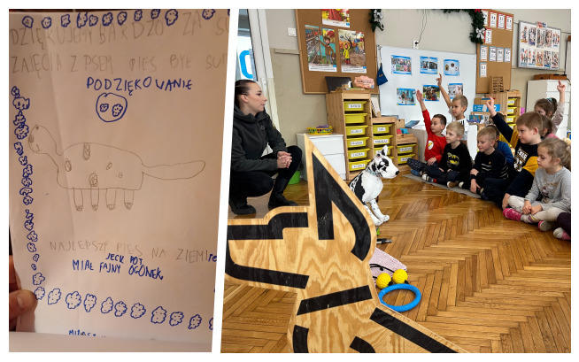 Fundacja Working Dogs