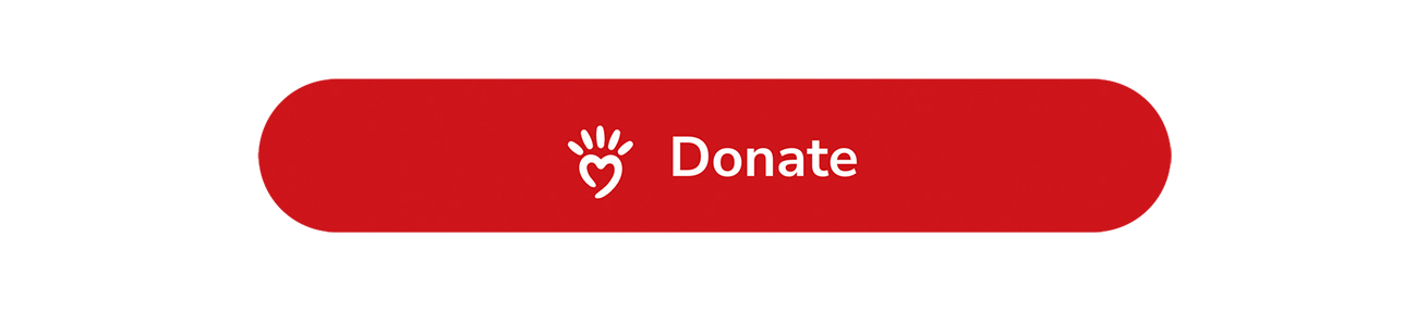 Złombol USA // Lake Michigan // 1st USA Edition