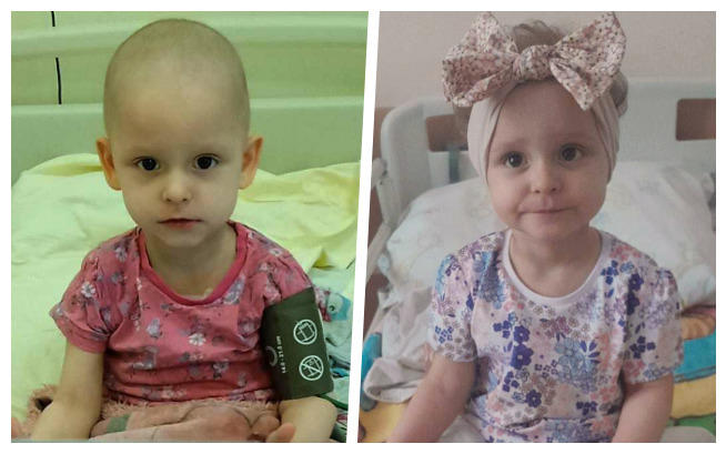 NEVER GIVE UP Muszkieterowie Szpiku