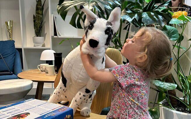 Fundacja Working Dogs