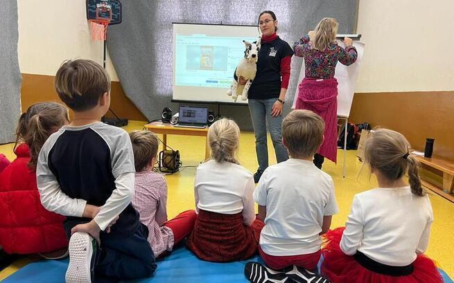 Fundacja Working Dogs