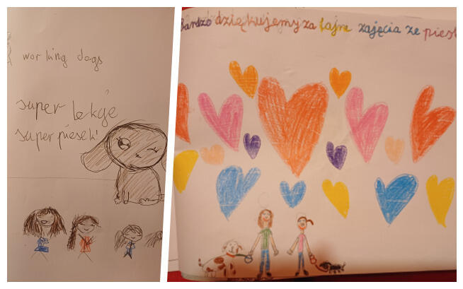 Fundacja Working Dogs