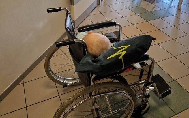 ISKIERKA Nadziei. Lek dla Dzieci z Onkologii