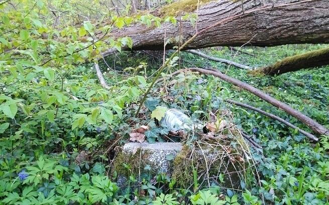 Nie pozwólmy zarastać pamięci