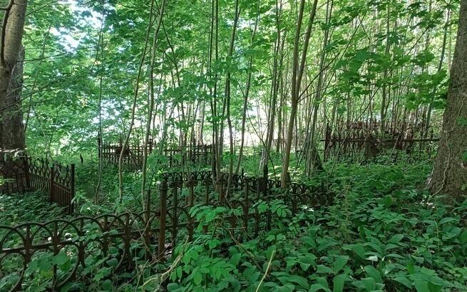 Nie pozwólmy zarastać pamięci