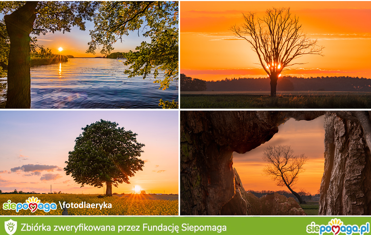 Przemysław Małecki