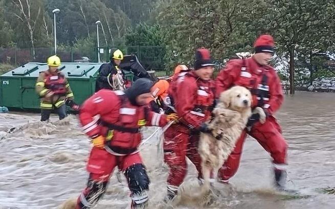 APEL O POMOC DLA OFIAR POWODZI! WIELKA AKCJA POMOCOWA DLA LUDZI I ZWIERZĄT! PILNIE POTRZEBNA POMOC! Pożywnienie Darem Serca