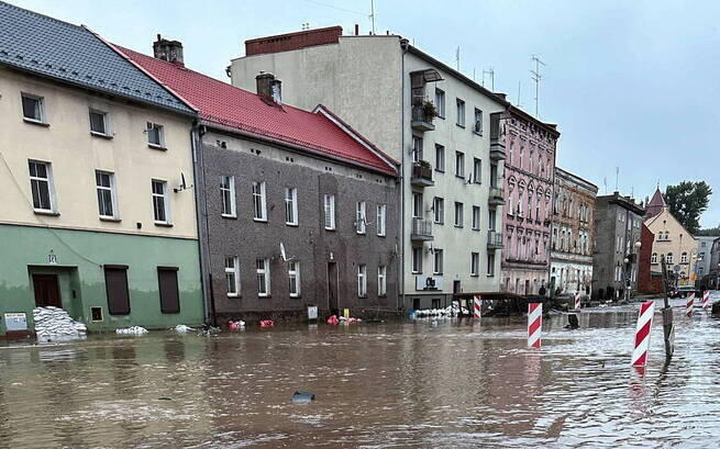 Stowarzyszenie Elementum