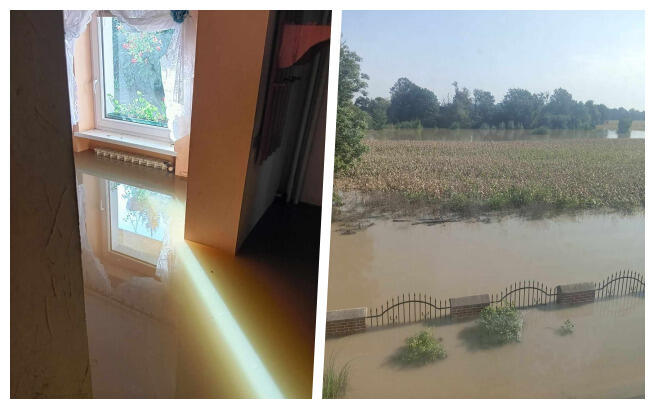 Fundacja "Krok Po Kroku"