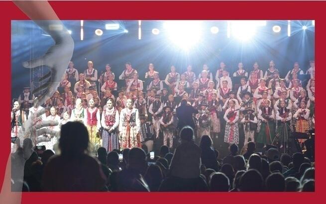 Fundacja Bonifraterska