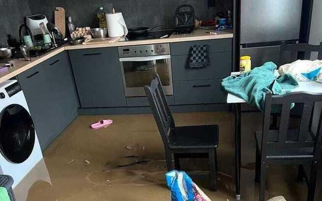 Polski Związek Gimnastyczny