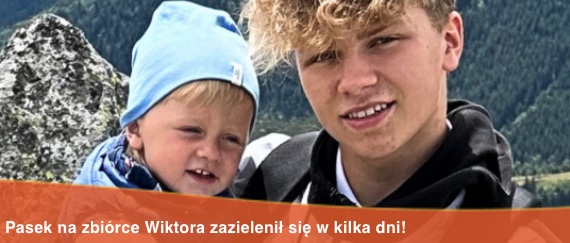Zdjęcie