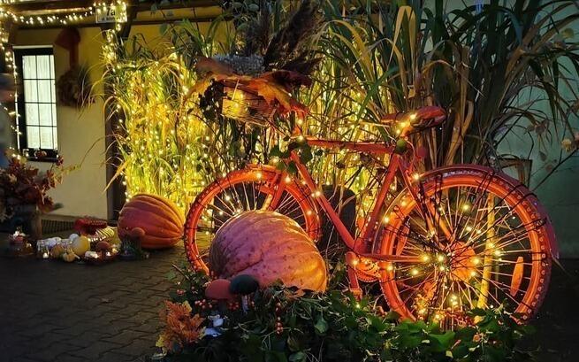 Janikowska Nysa Koło Gospodyń Wiejskich w Janikowie