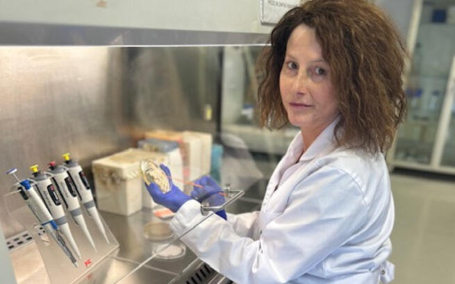 Jolanta Kochel-Karakulska