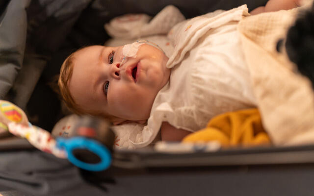 Zofia Elżbieta Hernik