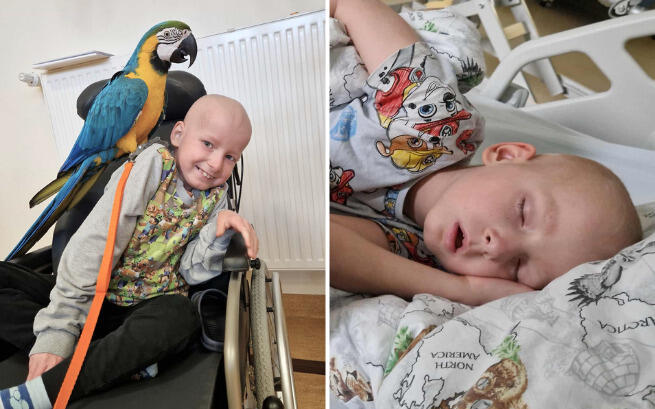 Stanisław Kaczmarek