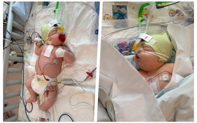 Stanisław Dawidowski