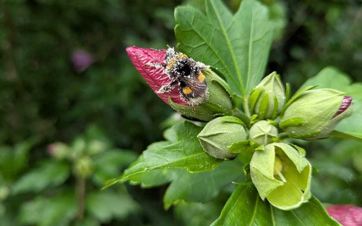 Piękne Lubelskie dla dzieci z dysfunkcjami