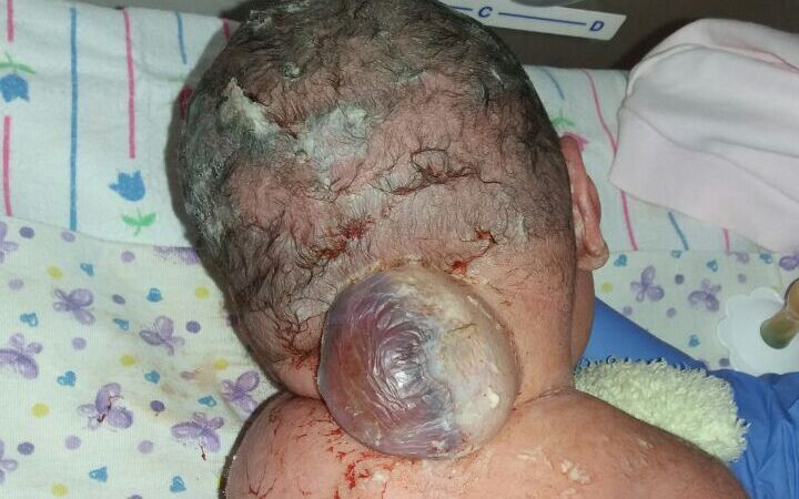 Varvara Zambryborshch