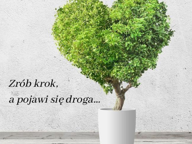 Zdjęcie zbiórki