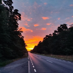 OLI SPEED Oliwia Wolak