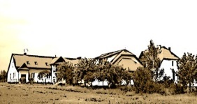 Stowarzyszenie Fiore - logo