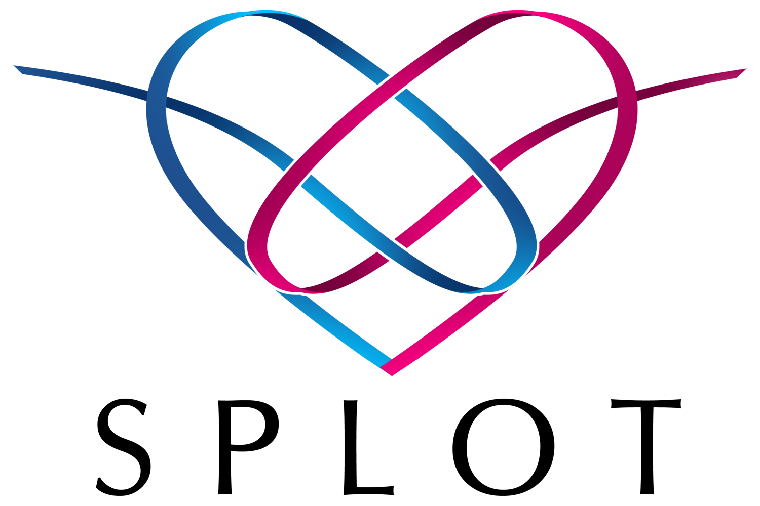 Stowarzyszenie Integracji i Współpracy Społecznej SPLOT - logo