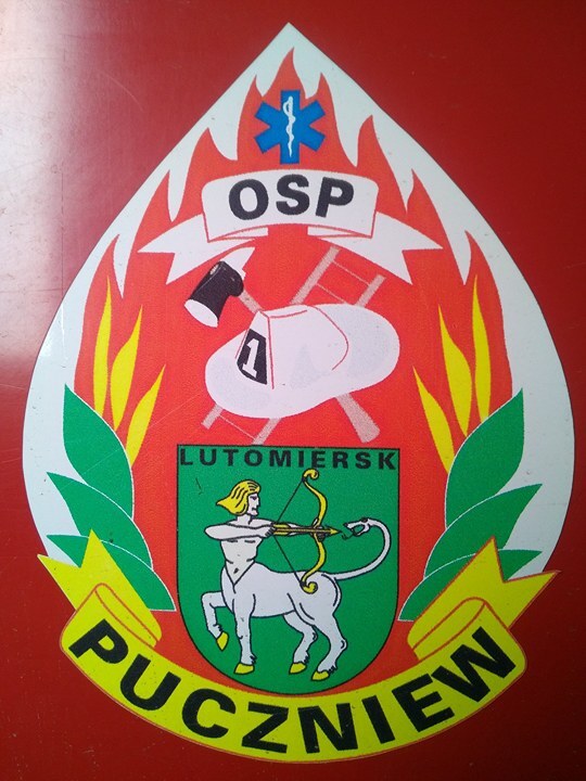 Ochotnicza Straż Pożarna w Puczniewie - logo