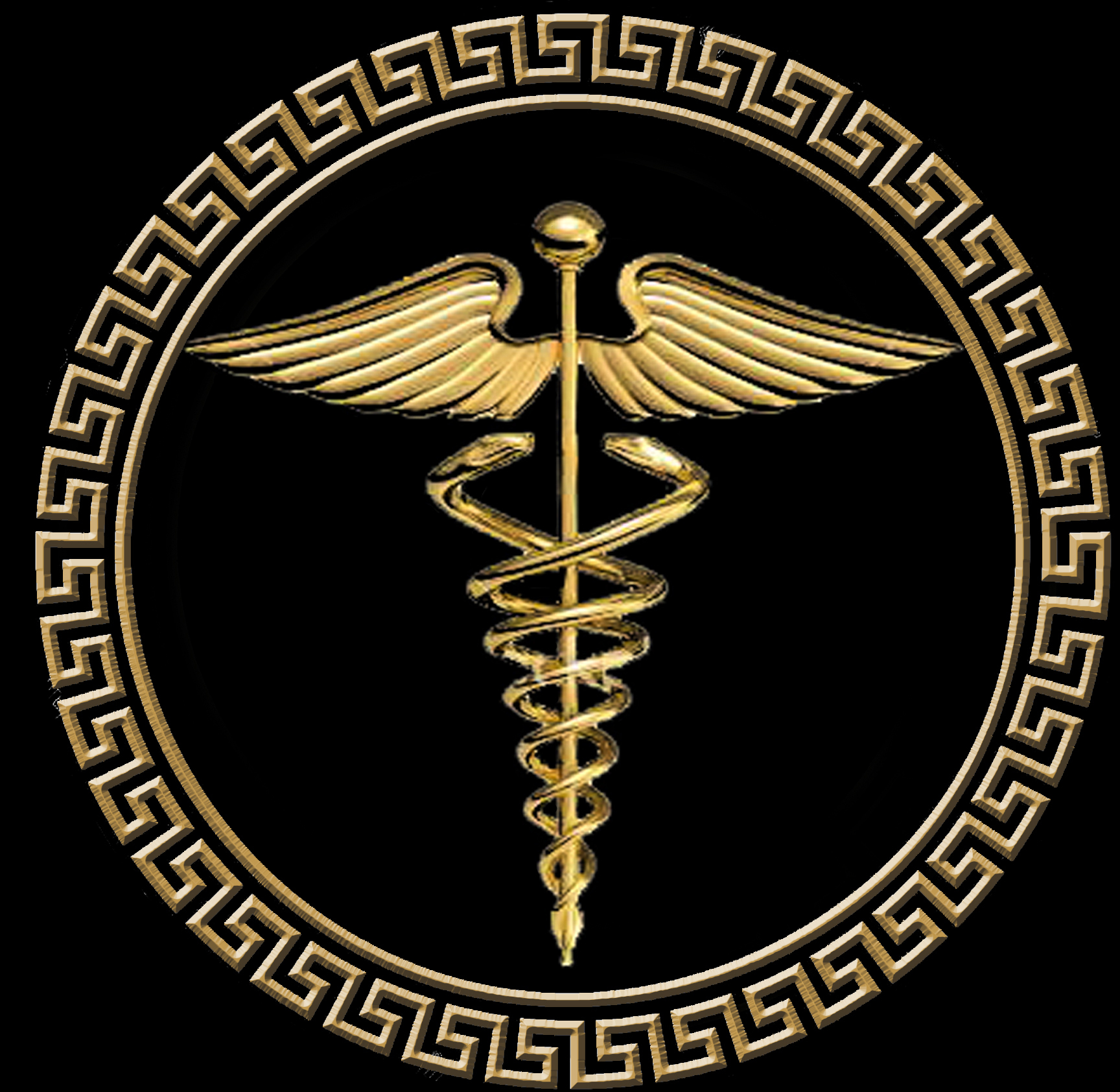 Instytut Psychosomatyki im. Carla Gustava Junga - logo